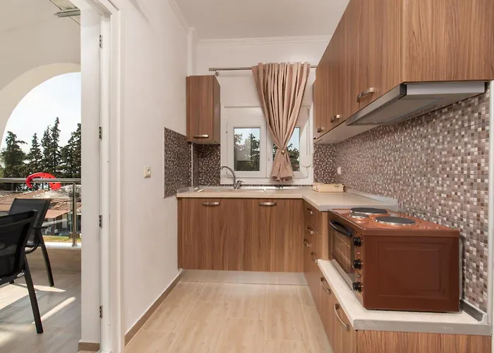 Apartament Elegant Stelios *